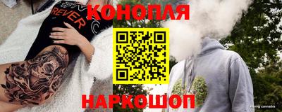 стаф Будённовск