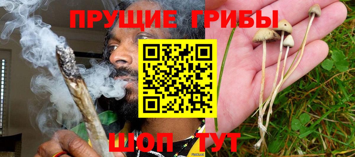 Луховицы  Галлюциногенные грибы мухоморы  Вход с VPN 