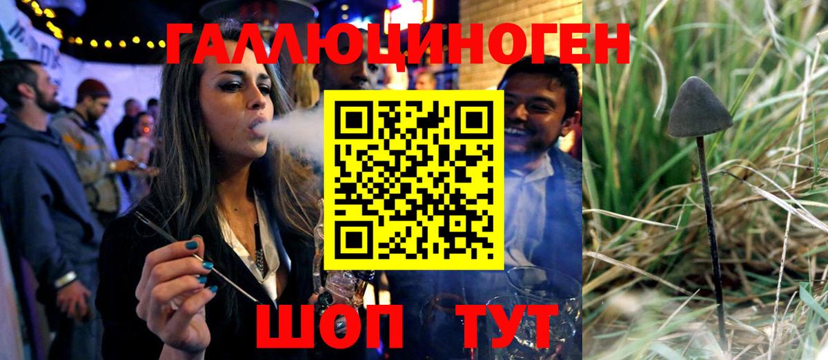 Псилоцибиновые грибы GOLDEN TEACHER Луховицы